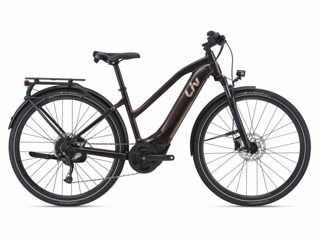 Amiti E+ 2D (RideControl Dash)